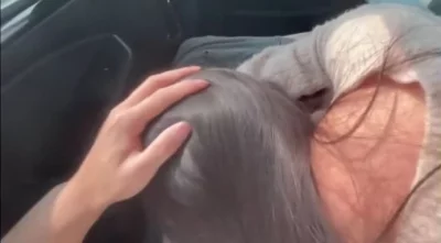 纪湘视频在线观看