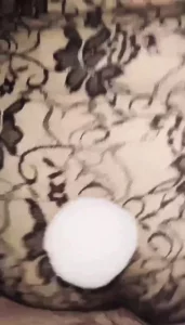 坦克自拍本人有偿