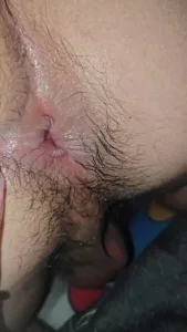 菊花开