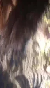 3p小母狗，完整版已上传至电报群